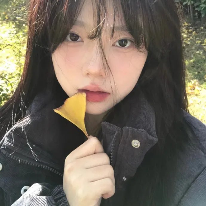 宝贝的新朋友